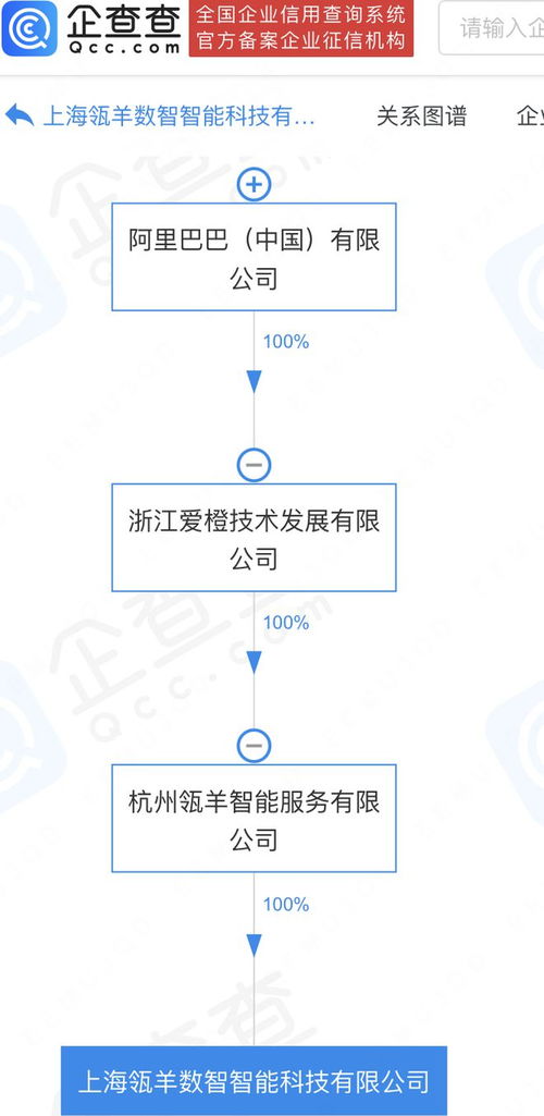 阿里巴巴旗下瓴羊數(shù)智科技公司落戶上海，加速數(shù)據(jù)處理與存儲服務(wù)布局