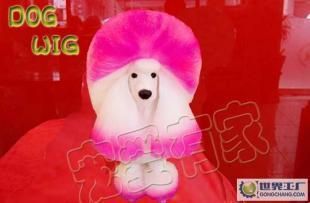 模特犬 Canine model 專業寵物美容挑染用-長毛犬衣服_運動、休閑_世界工廠網中國產品信息庫