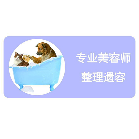 廈門正規寵物火化與美容服務指南 注冊企業選擇與貼心推薦