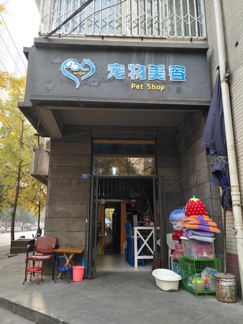 寵物經濟全解析 從食品用品到美容健康，一站式守護愛寵生活