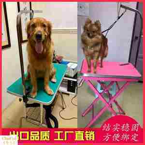 寵物美容服務全攻略 從美容桌到專業護理，讓愛寵煥然一新
